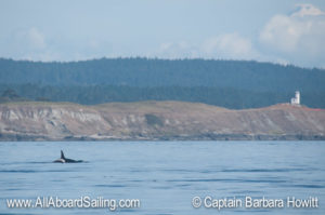 L86 approaching salmon bank