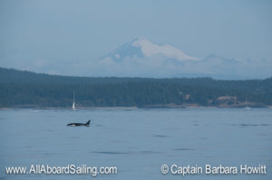 L103 'Lapis' with Mount Baker