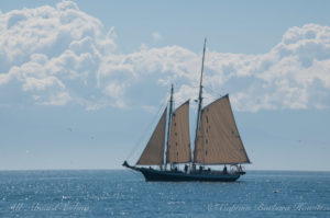 Schooner Spike Africa