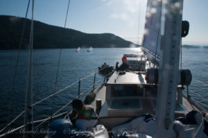 Sailing with whales