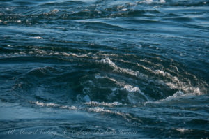Giant whirlpool at Boiling Reef