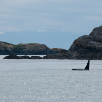 Sailing with the T49As around Lopez Island