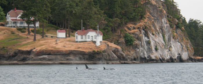 T100 Transient Orcas heading our way