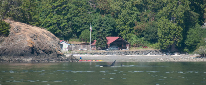 T65A’s take Mosquito Pass T65A’s take Mosquito Pass