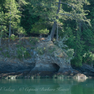 Humpback outside of Friday Harbor