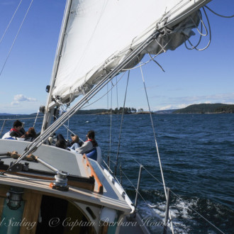 Fast sailing with strong winds in Presidents Channel