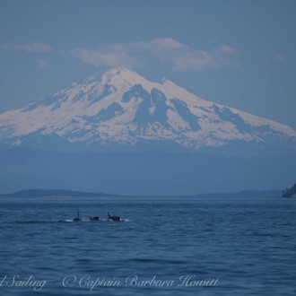 Moresby to Blunden with T124As Biggs Orcas