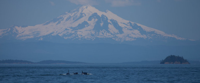 Moresby to Blunden with T124As Biggs Orcas