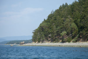 Big Rock glacial erratic on the beach of Lopez island