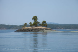 Turn Island