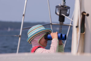 Watching wildlife while sailing