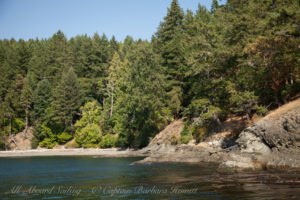 Stuart Island forested shoreline and beaches