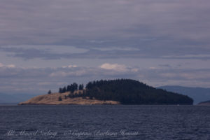 Spiden Island