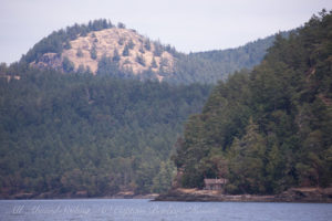 Orcas Island