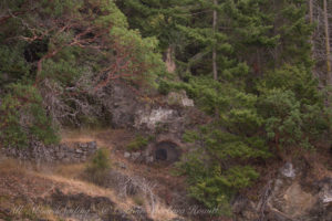Old Lime Kiln in forest of Presidents Chanel, Orcas island