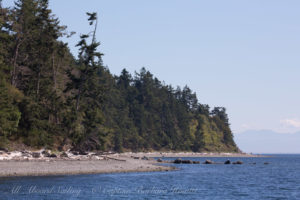 Lopez Shoreline out to Cattle Pass