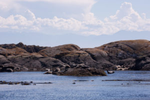 Deadman Island