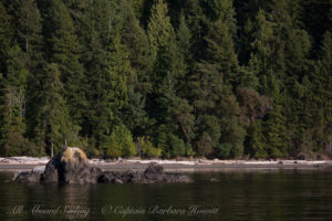 Presidents Channel Orcas Island
