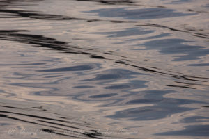 Sunset reflections