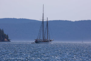 Schooner Zodiac