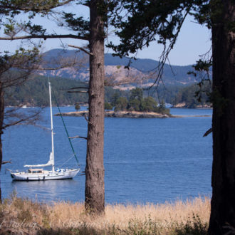 Short morning sail to Yellow Island extends to Flattop