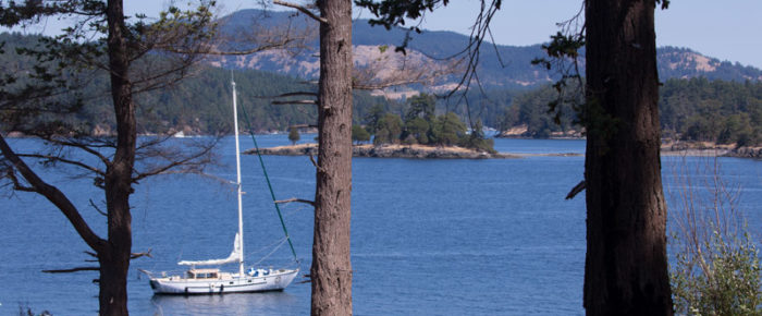 Short morning sail to Yellow Island extends to Flattop