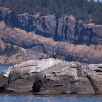 Day Sailing in the San Juan Islands and beyond