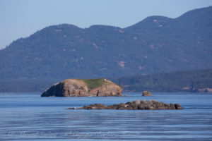 Bare Island National Wildlife Refuge