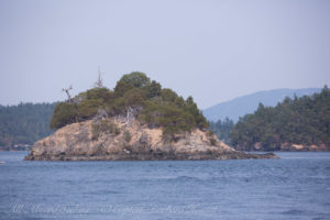 Nob Island