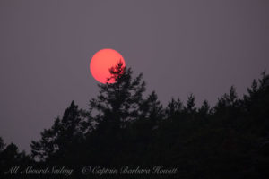 Red sun through forest fire haze