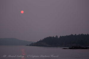 Red sun through forest fire haze