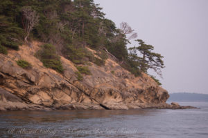 Patos Island
