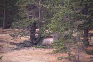 Underground house on Stuart Island