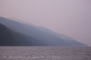 Lawrence Point Orcas Island