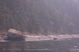 Big Rock glacial erratic on Lopez shoreline