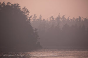 Forest Fire haze at sunest