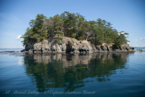 Cactus islands in the San Juan Islands