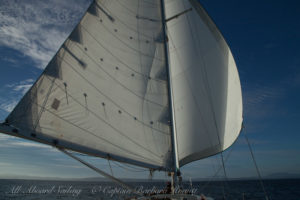 Downwind wing on wing sailing San Juan Channel