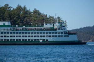 Wa state ferry at Lop[ez ferry dock whale watching with Biggs Orcas T37As