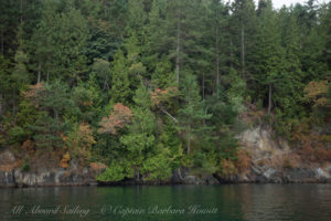 New Channel, North side of Spieden island