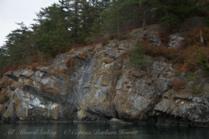 Flattop Island