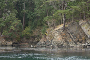 Flattop Island