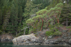 Blakely Island