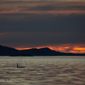 Sunset Sail in the San Juan Islands with the T49As