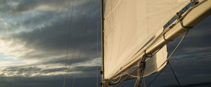Half day evening sail