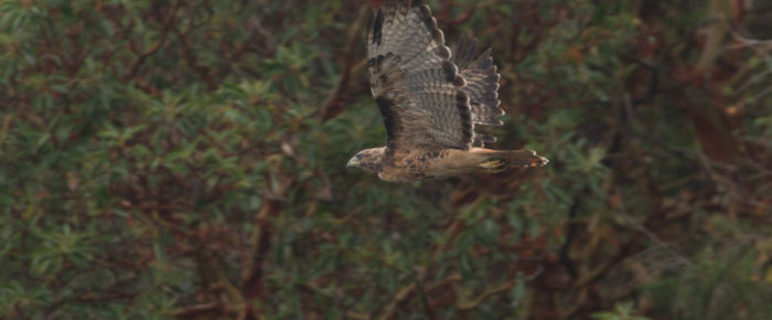 Half day sail on a rainy day