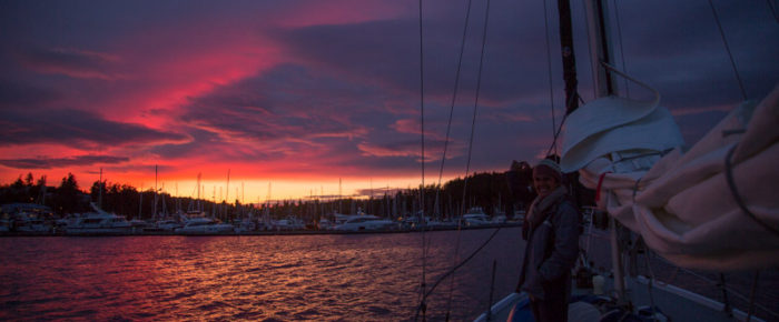 Full day sail to Mandarte and beyond