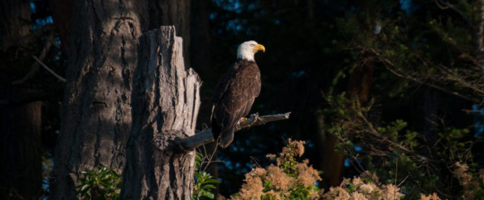 A fun birding adventure
