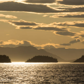 A peaceful short evening sunset sail