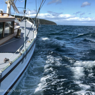 David’s Birthday sail to Sucia Island